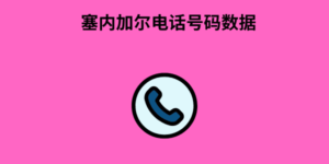 塞内加尔电话号码数据
