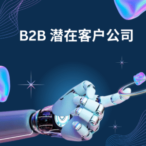 B2B 潜在客户公司