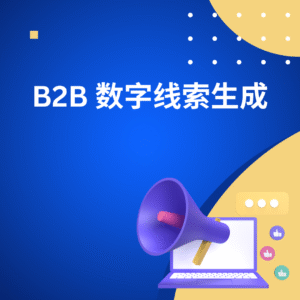 B2B 数字线索生成