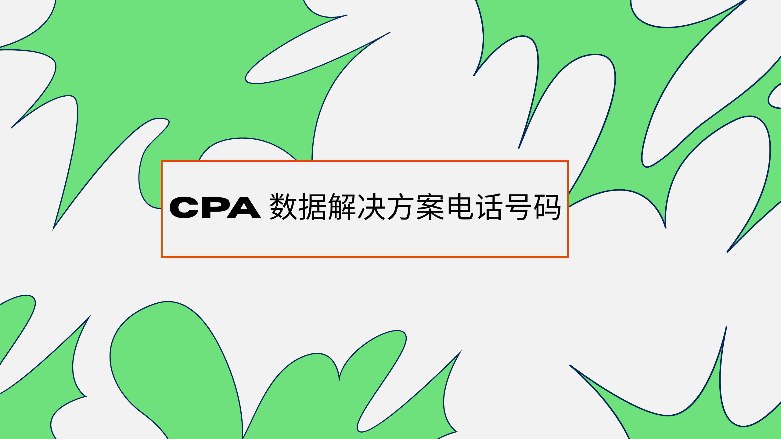 CPA 数据解决方案电话号码