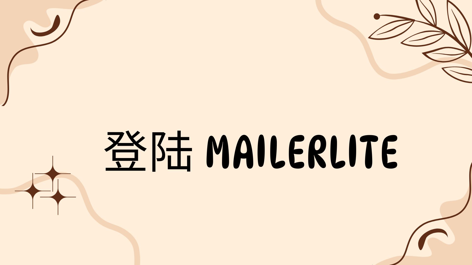 登陆 mailerlite