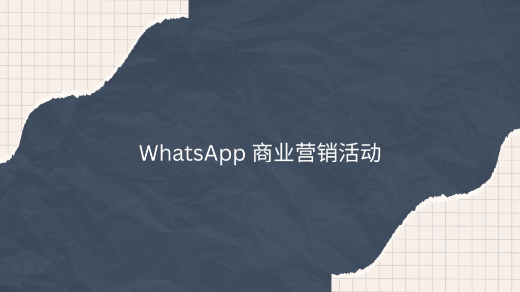 WhatsApp 商业营销活动