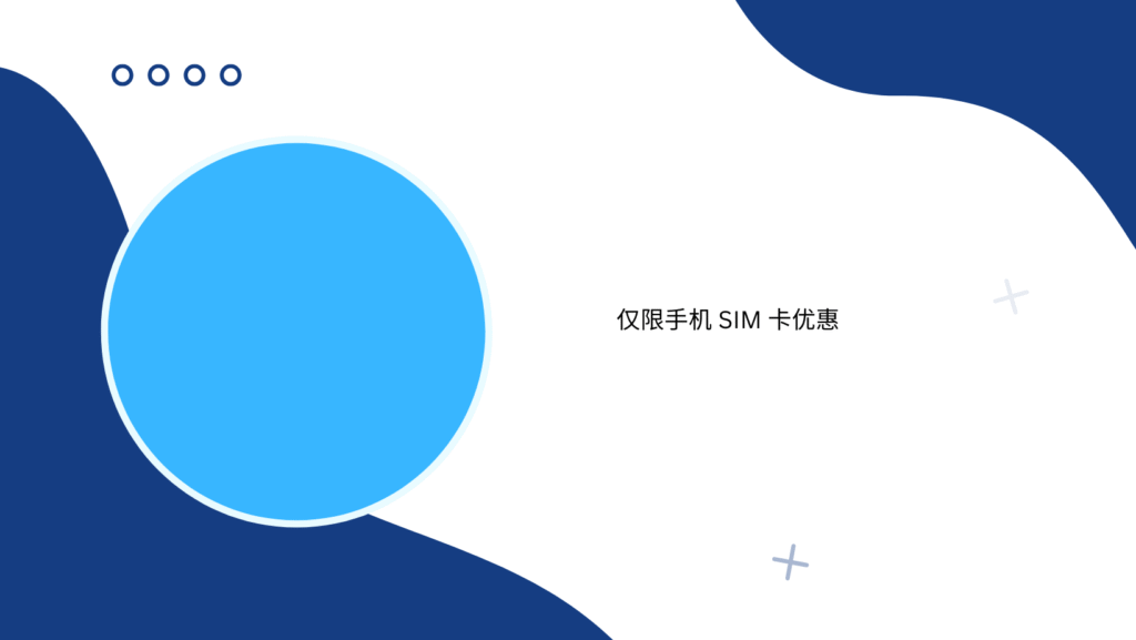 仅限手机 SIM 卡优惠