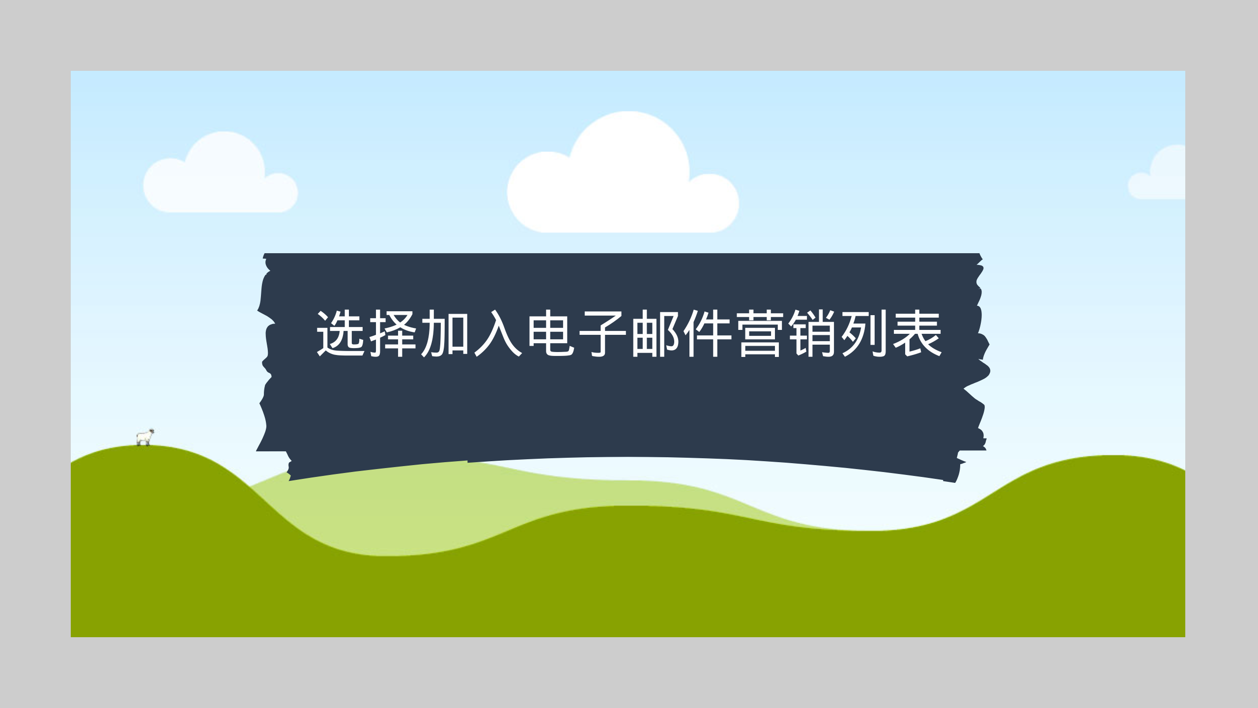 选择加入电子邮件营销列表