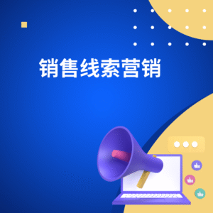 销售线索营销